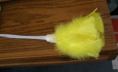 duster.jpg