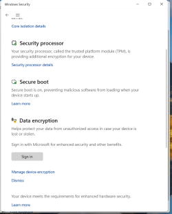 Screenshot 2024-10-19 210711 Windows Security .png