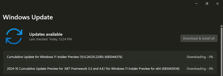 Ashampoo_Snap_Friday, October 25, 2024_12h24m25s.png