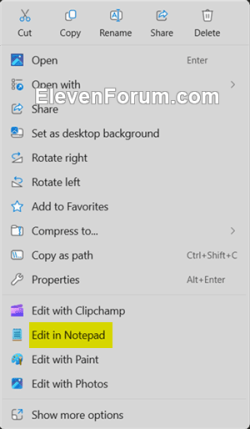 Edit_in_Notepad_context_menu.png