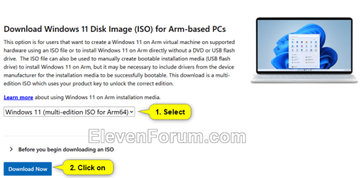 Windows11_ARM_ISO.png