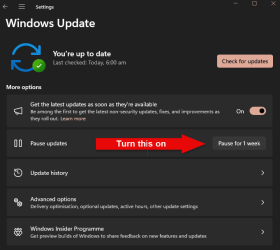 windows update pause.png