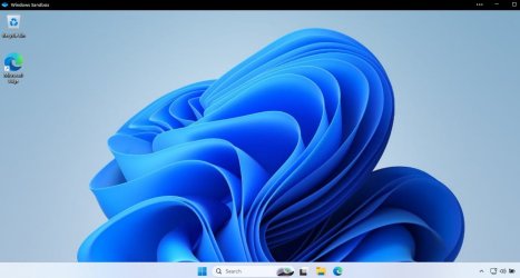 Screenshot 2024-11-17 151746.jpg