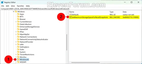 Recall_snapshots_max_storage_size_regedit-1.webp