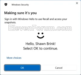 Windows_Security.webp