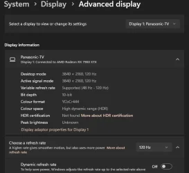 Win11- Panasonic display information.webp