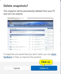 Delete_Recall_snapshots-2.webp