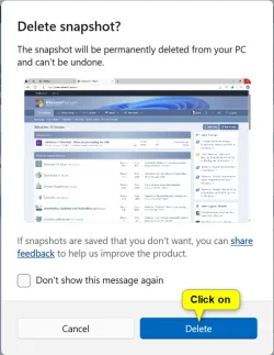 Delete_Recall_snapshots-3.webp