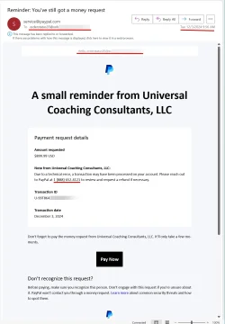 PayPal Scam.webp
