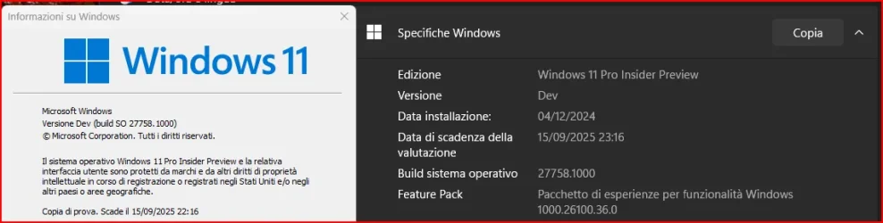 1733342594424.webp