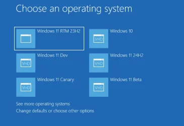 Dell 3190 multi-boot.webp
