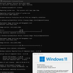 1733859239767.webp