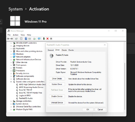 Windows 10 Realtek Drivers on Windows 11.png