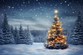 Tree.webp Tree.webp
