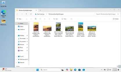 Windows 11 x64-2025-01-04-08-35-51.webp