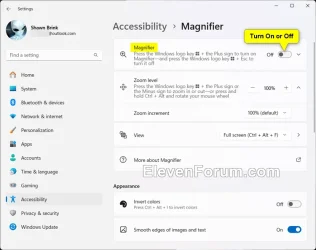 Magnifier_Settings-2.webp