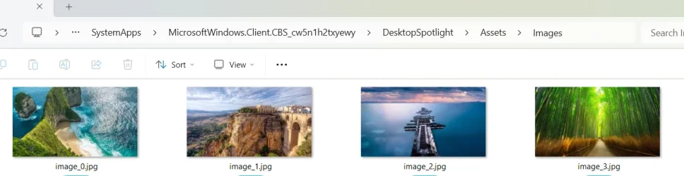 1736174676525.webp