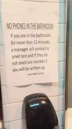 bathroom2.webp