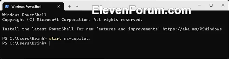 Open_Copilot_command.webp