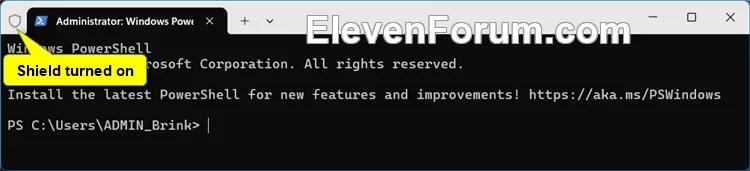 Shield_on_Terminal_title_bar.webp