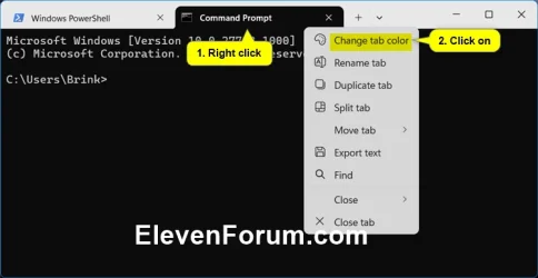 Terminal_tab_color-1.webp