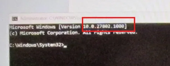 1741140235728.webp