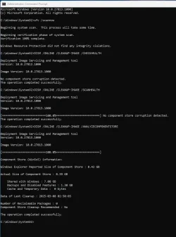 1741811426825.webp