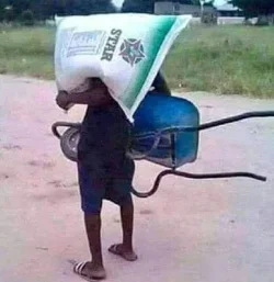broken-wheelbarrow-650x666.webp