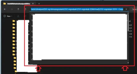 1742480909607.webp