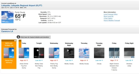 Screenshot from 2025-03-25 09-26-35.webp