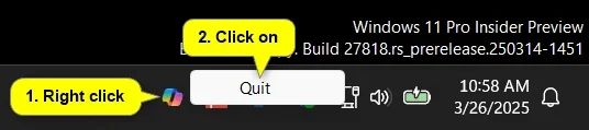Quit_Copilot.webp