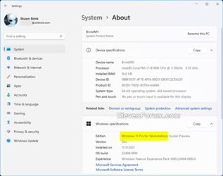 Windows_11_edition_Settings-2.png