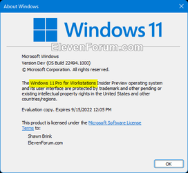Windows_11_edition_winver.png