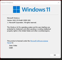 Screenshot 2021-11-09 131034.png