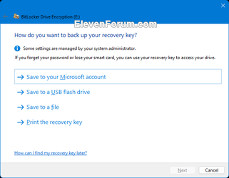 BitLocker_fixed_data_drives-3.png