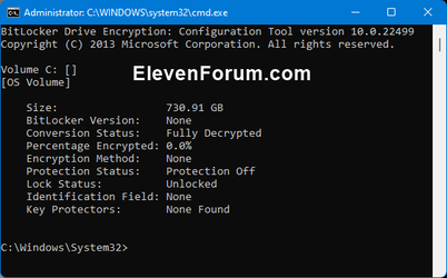 BitLocker_Status-2.png