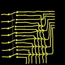 Image1.png