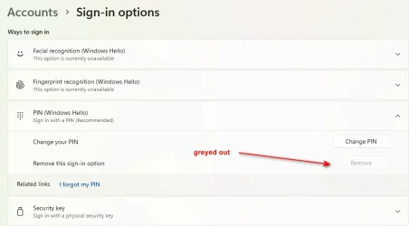 sign-in.options.webp