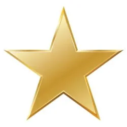 Gold Star.webp
