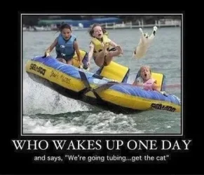 funny23.webp