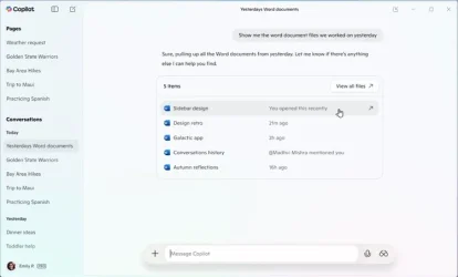 Copilot_file_search.webp