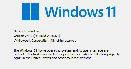 Windows11_ver.webp