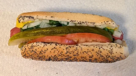 chicagodog.webp