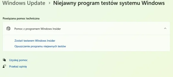 111.webp