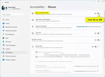 mouse_pointer_Snap_to_default_location_Settings.webp
