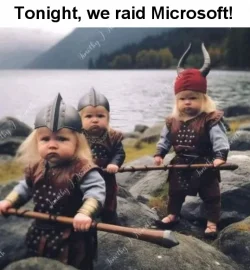 Microsoft Raid.webp