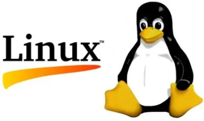 1745695474139.webp