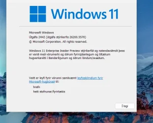 Skjámynd 2025-04-27 110838.webp