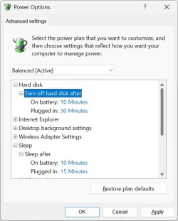Windows 11 power settings.webp