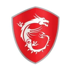 MSI.webp